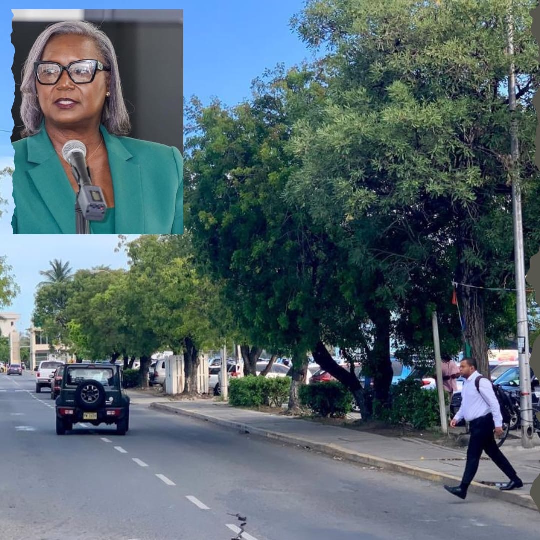 District Rep Mum As Public Pressure Mounts Over DeCastro Street Project