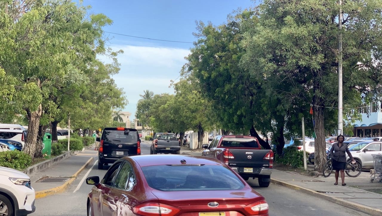 Gov’t Awaits Report From Specialist On DeCastro Street Trees