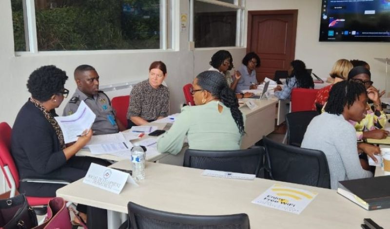 Gov't Eyes Stronger Domestic Violence Laws